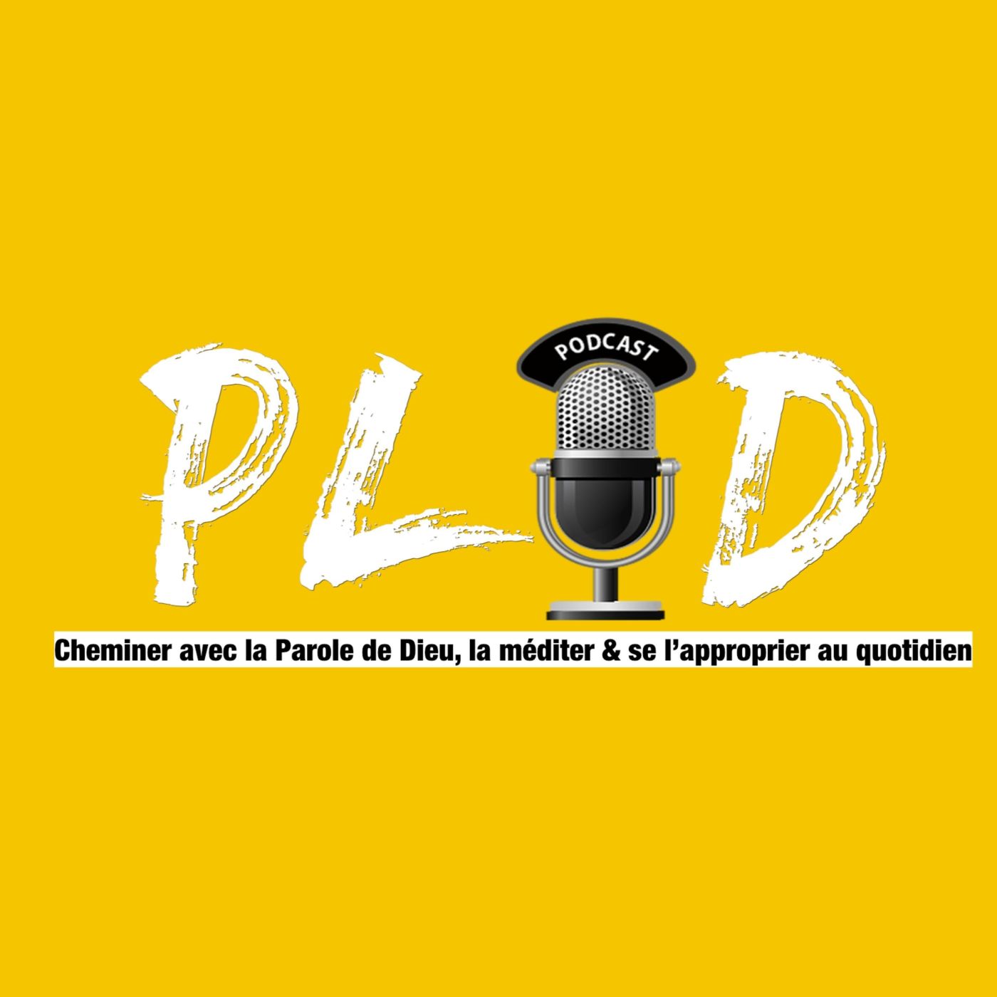 Épisode 11 - Pourquoi les choses ne se passent jamais comme prévu?