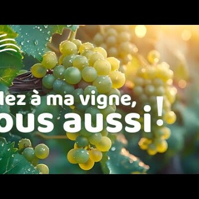 Parole et Évangile du jour | Mercredi 21 août • Tout est Grâce cover