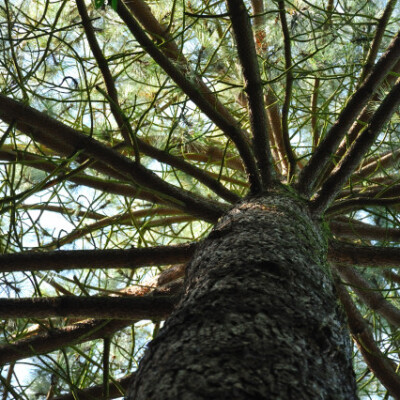 Voyagez depuis les Yvelines jusqu'aux confins du Monde ! cover