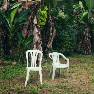 UN JOUR UN DISQUE #818 BAD BUNNY cover