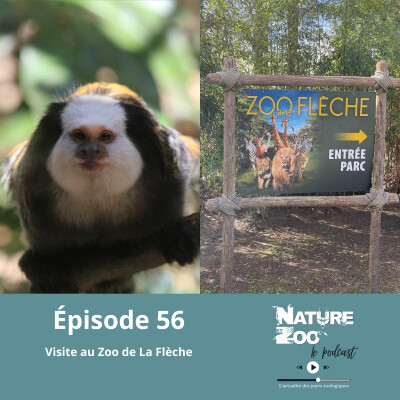 Épisode 56 (VISITE) - Le Zoo de La Flèche cover