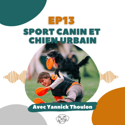 #REDIFF - Yannick Thoulon (Canissimo) : Sport canin et chien citadin cover