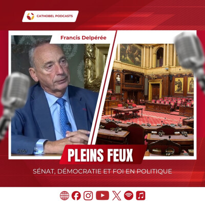 Pleins Feux sur Francis Delpérée cover