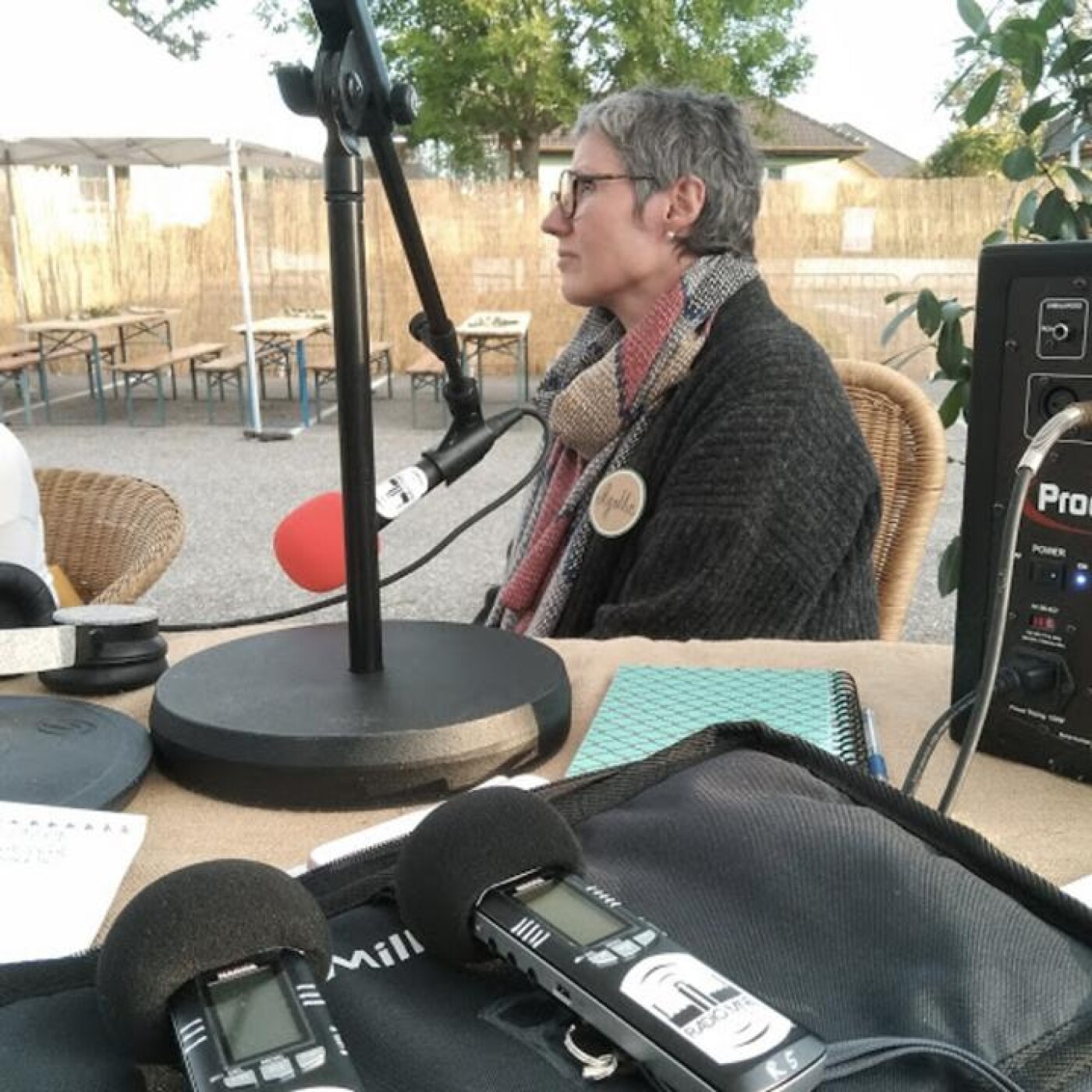 Agathe Wieser, directrice de la Passerelle episode artwork