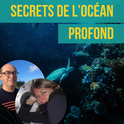 INTERVIEW - Secrets de l'océan profond | Juliette Ravaux et Sébastien Duperron cover