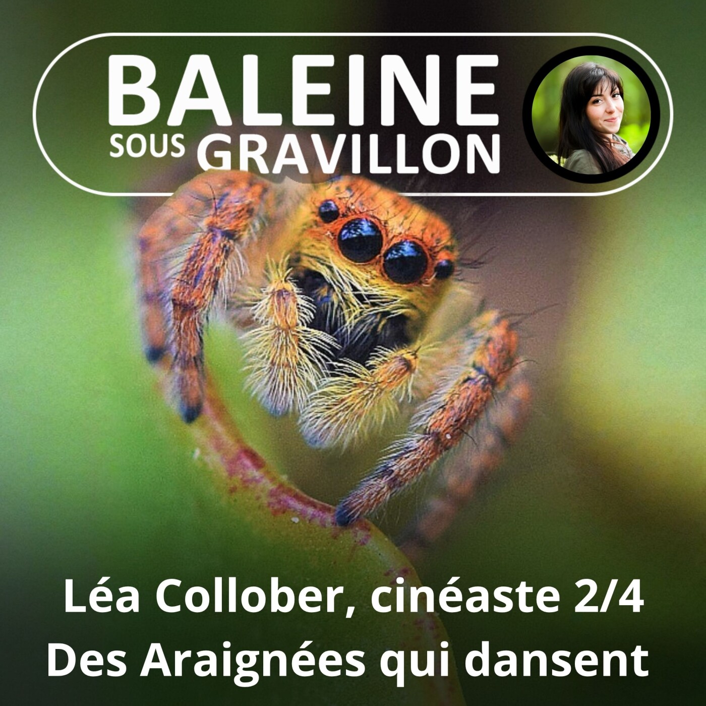 S02E49 Léa Collober, cinéaste 2/4 : Les Saltiques, des mini-Araignées chasseuses ET danseuses ! episode artwork