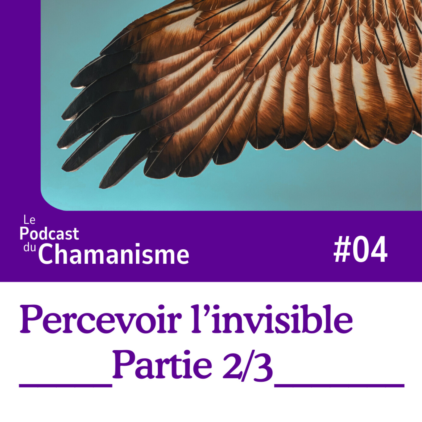 #04_Les doutes et la place du mental dans les pratiques chamaniques _ Percevoir l’invisible Partie 2/3_ episode artwork