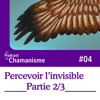 #04_Les doutes et la place du mental dans les pratiques chamaniques _ Percevoir l’invisible Partie 2/3_ cover