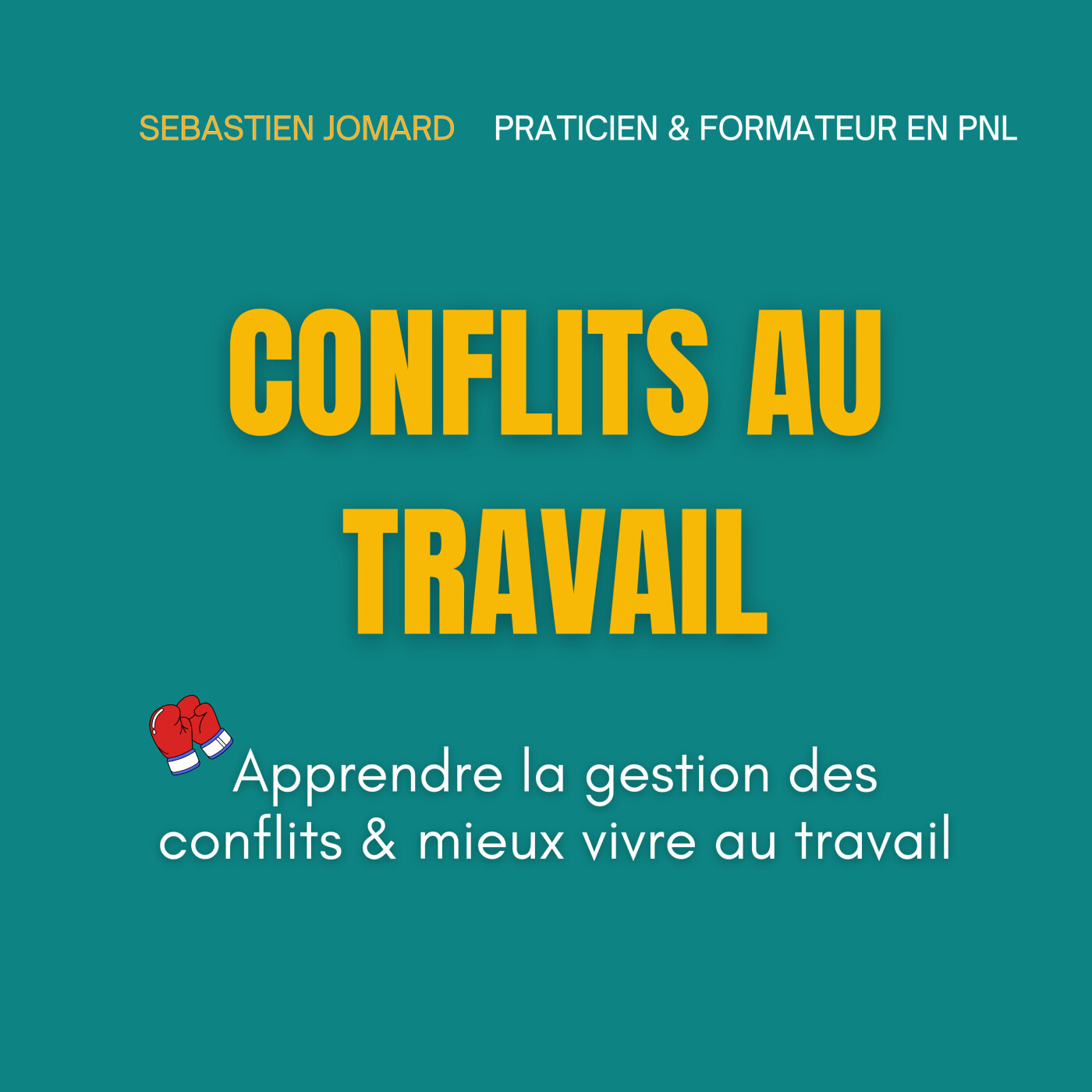 Conflits au travail: transformer la discorde en harmonie avec la *PNL-Sébastien Jomard (J'entends Des Voies)