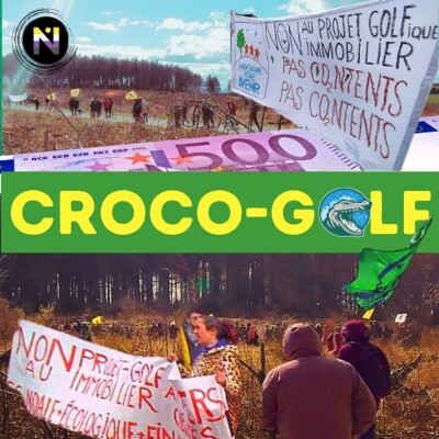 Croco-Golf ! cover