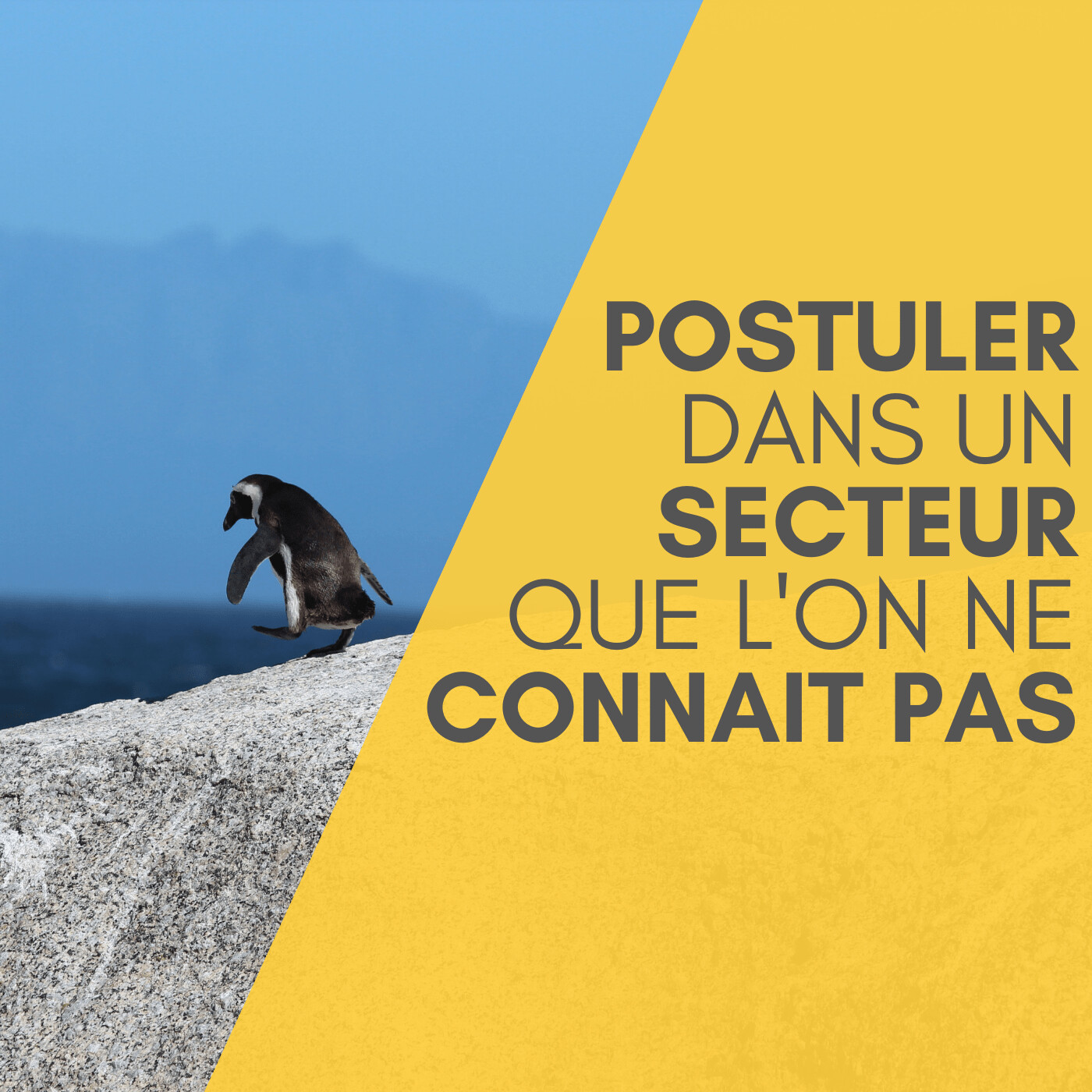 Comment postuler dans un secteur que l'on ne connait pas?