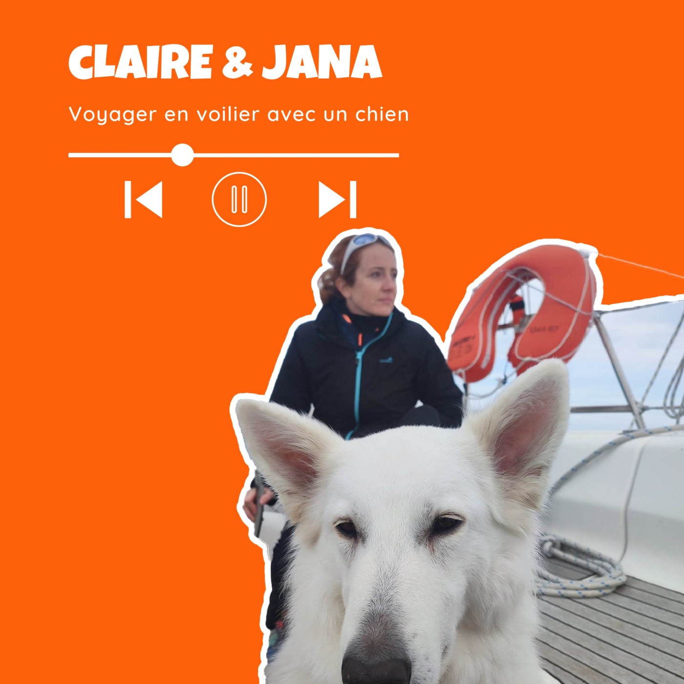 TWiP - Voyager avec son chien
