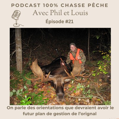Épisode 21: On parle du futur plan de gestion de l'orignal cover