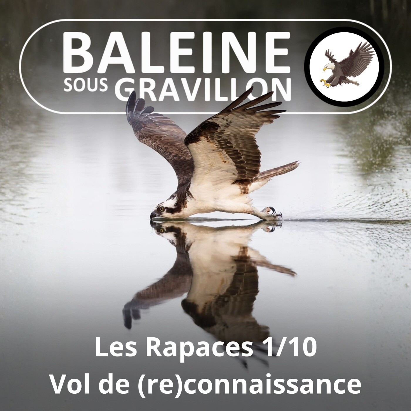 S02E103 Les Rapaces 1/10 : Connaître et comprendre (Jean Andrieux) episode artwork