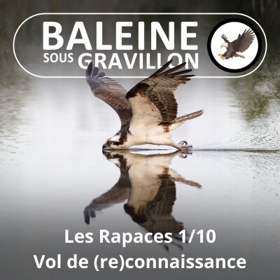 S02E103 Les Rapaces 1/10 : Connaître et comprendre (Jean Andrieux) cover