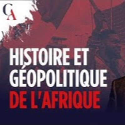 Algérie, Congo, Soudan, l'Afrique - B. Lugan - # politique cover