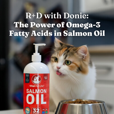 R+D with Donie: The Power of Omega-3 fatty acids in Salmon Oil cover