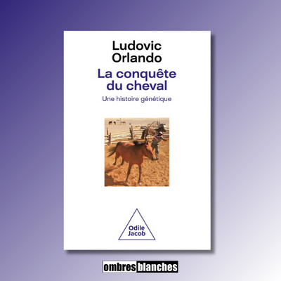 AMERICA(S)#8 → LE CHEVAL DANS LES AMÉRIQUES cover