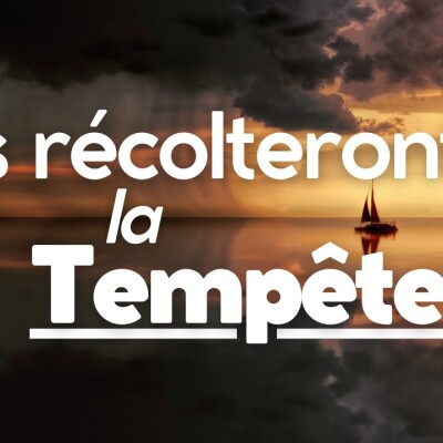 Parole et Évangile du jour | Mardi 9 juillet • « Semé le vent, ils récolteront la tempête cover