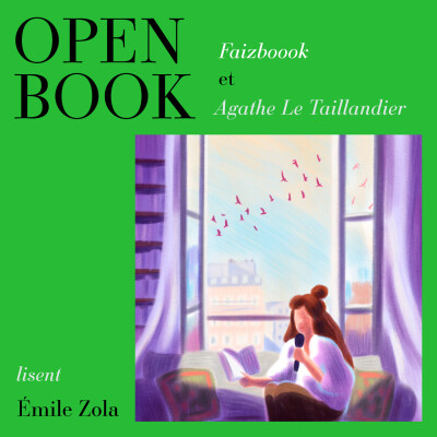 [Coup de Cœur] Pourquoi vous devriez lire ou relire Emile Zola, avec Faizbook cover