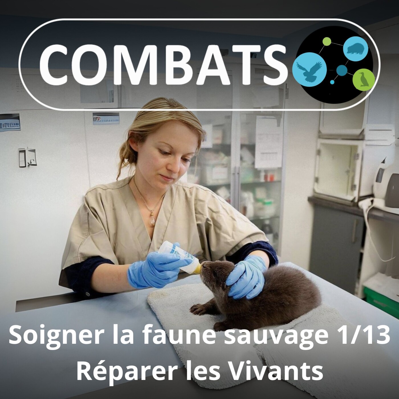 S01E58 Soigner la faune sauvage 1/13 : Réparer les Vivants (Manon Tissidre, directrice du Réseau)
