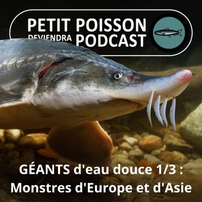 Show cover