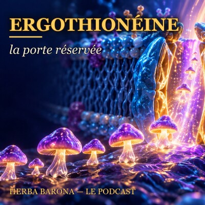 La porte réservée — l'ergothionéine cover