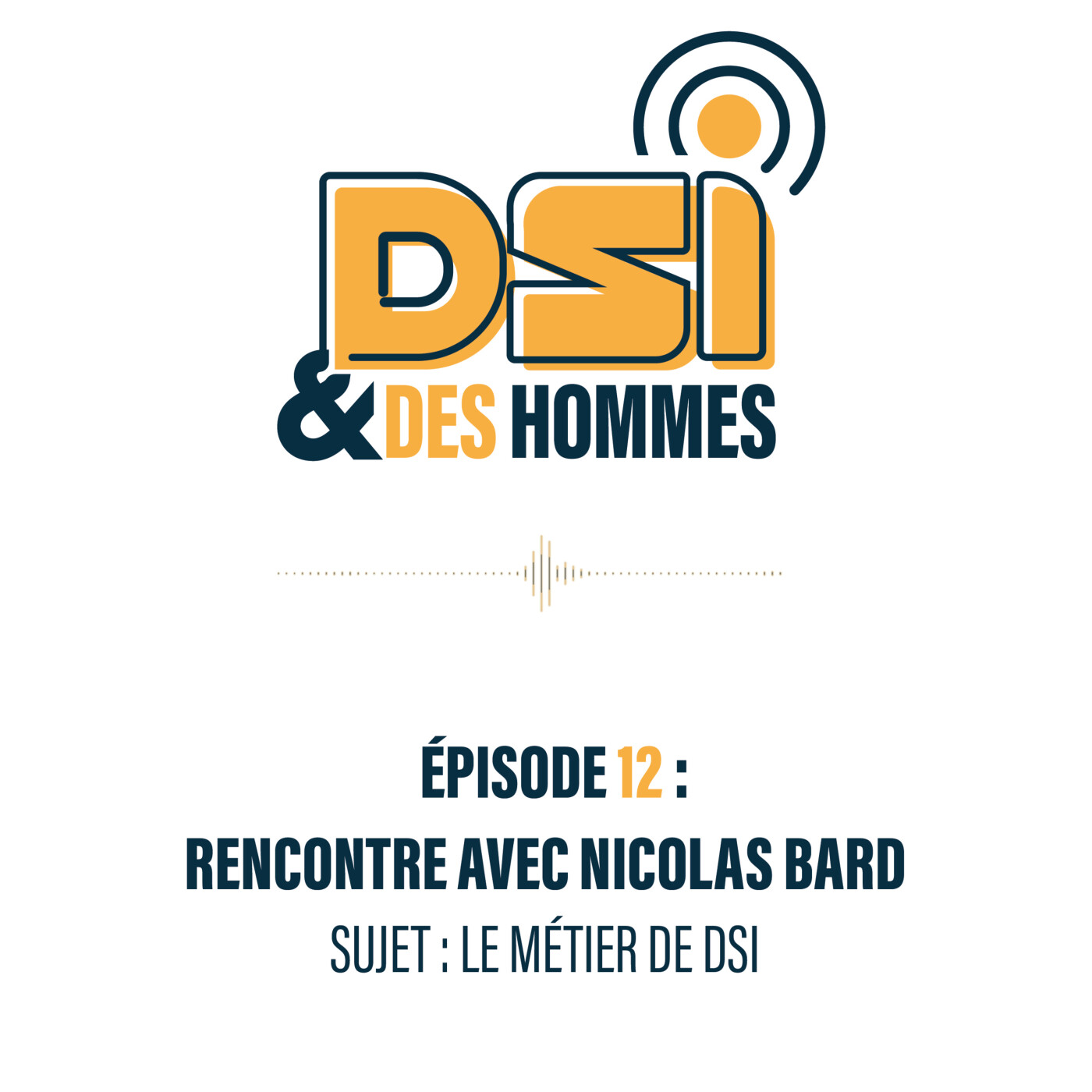 DSI et des Hommes
