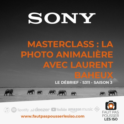 LE DÉBRIEF - S311 - Masterclass : la photo animalière avec Laurent Baheux cover