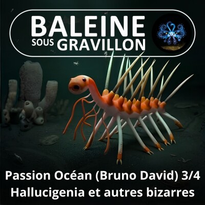 S08E20 Passion Océan 3/4 : Hallucigenia et autres créatures bizarrissimes (Bruno David) cover
