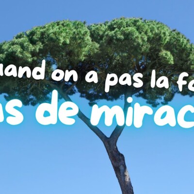 Parole et Évangile du jour | Vendredi 1er Août • La figure de la sagesse cover