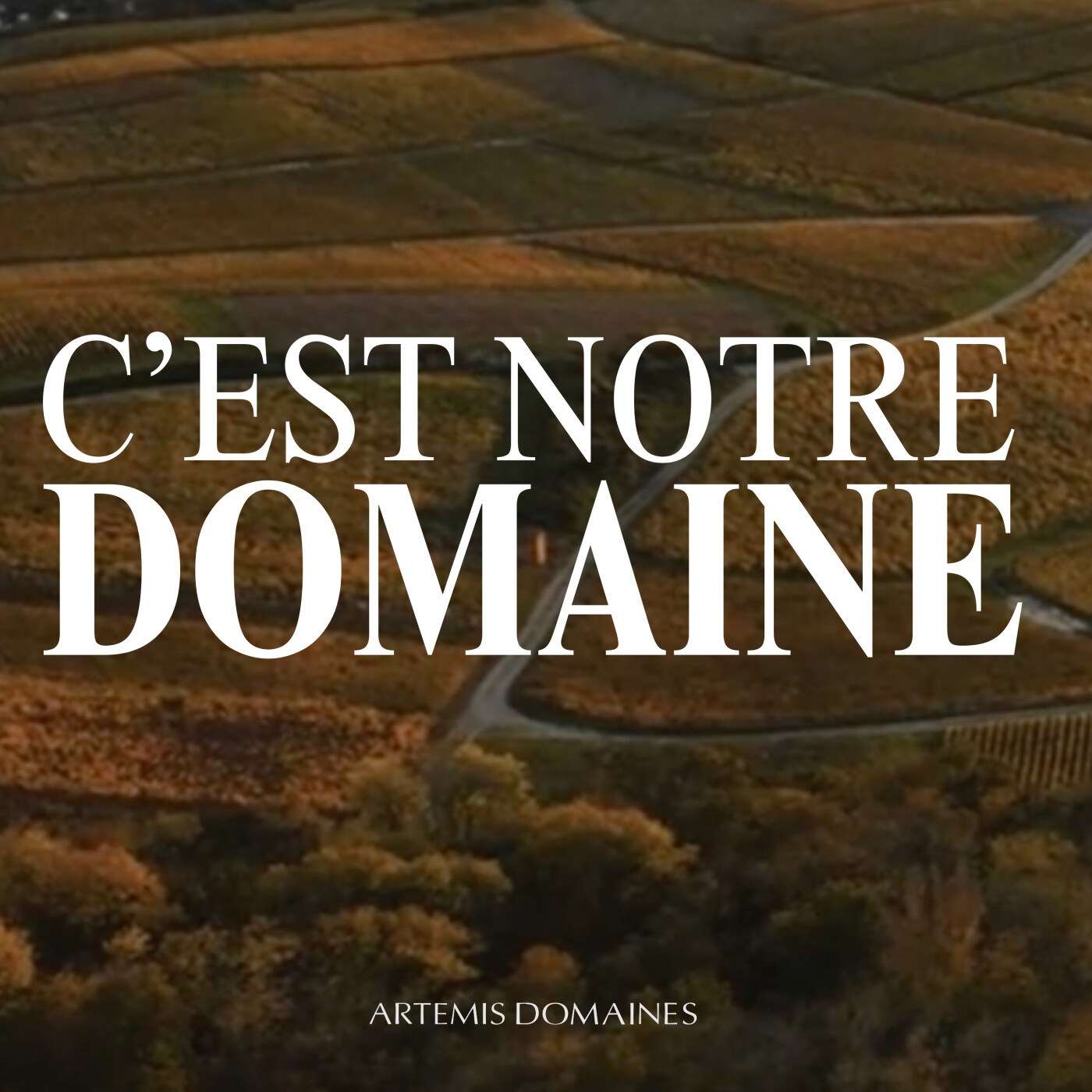 C'est Notre Domaine