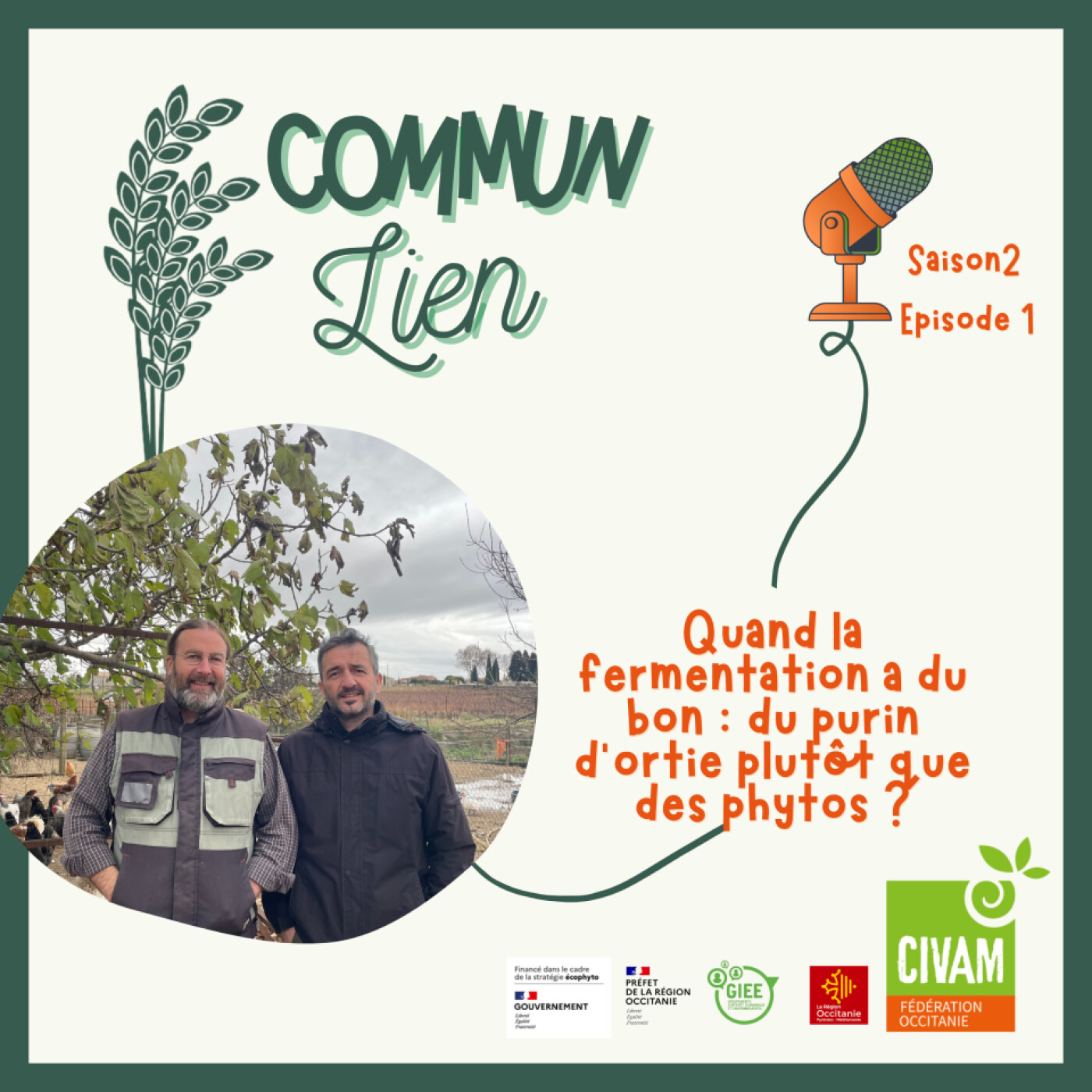 Quand la fermentation a du bon : du purin d’ortie plutôt que des phytos ?