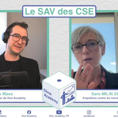 17 - Le SAV des CSE - Les enquetes pour harcélement avec Sara Milin Sellin cover