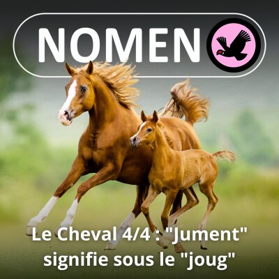 S02E29 Le Cheval 4/4 : La jument sous le "joug", c'est la même racine ! cover