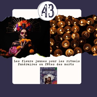 Les fleurs jaunes pour les rituels funéraires ou fêtes des morts cover