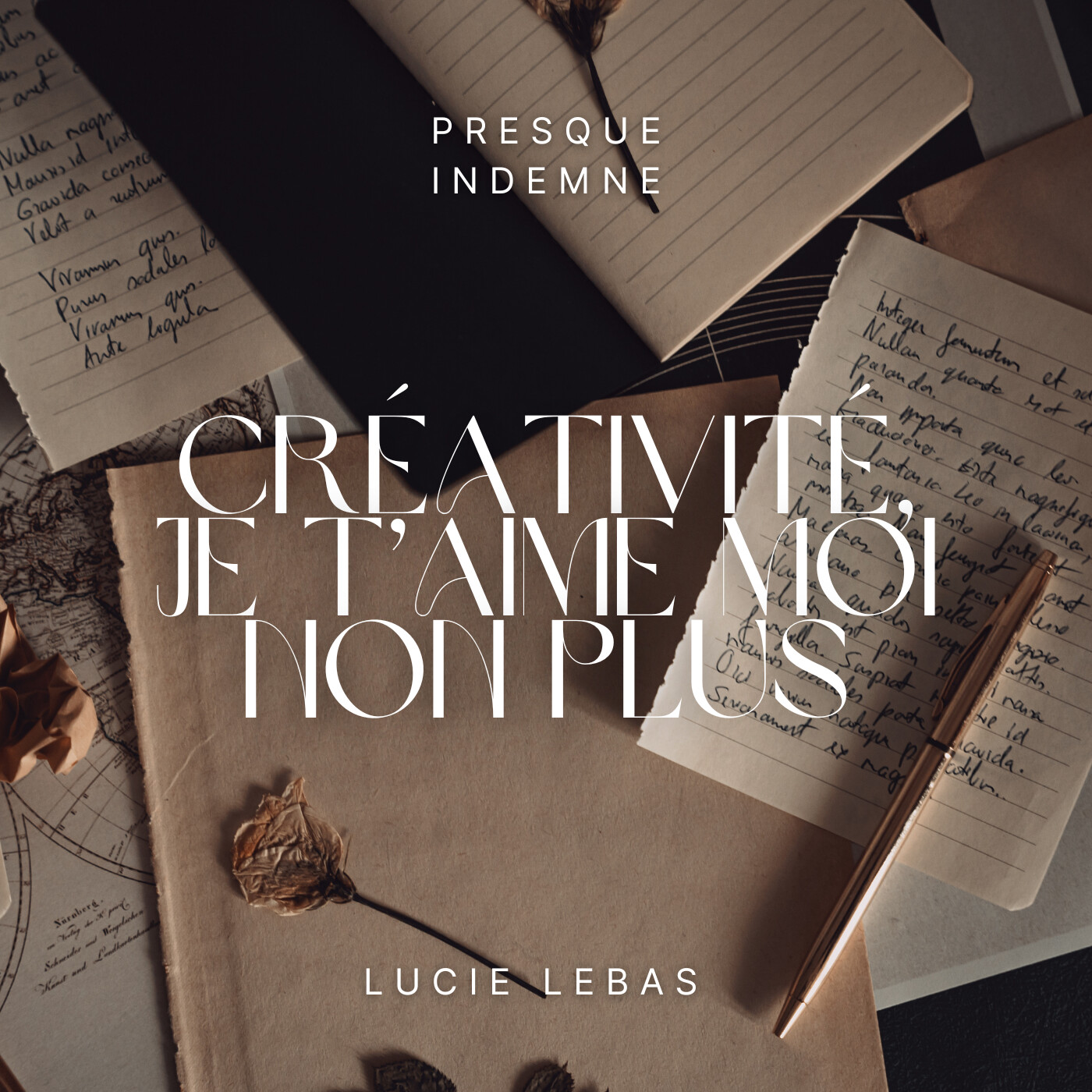 Créativité, je t'aime moi non plus episode artwork