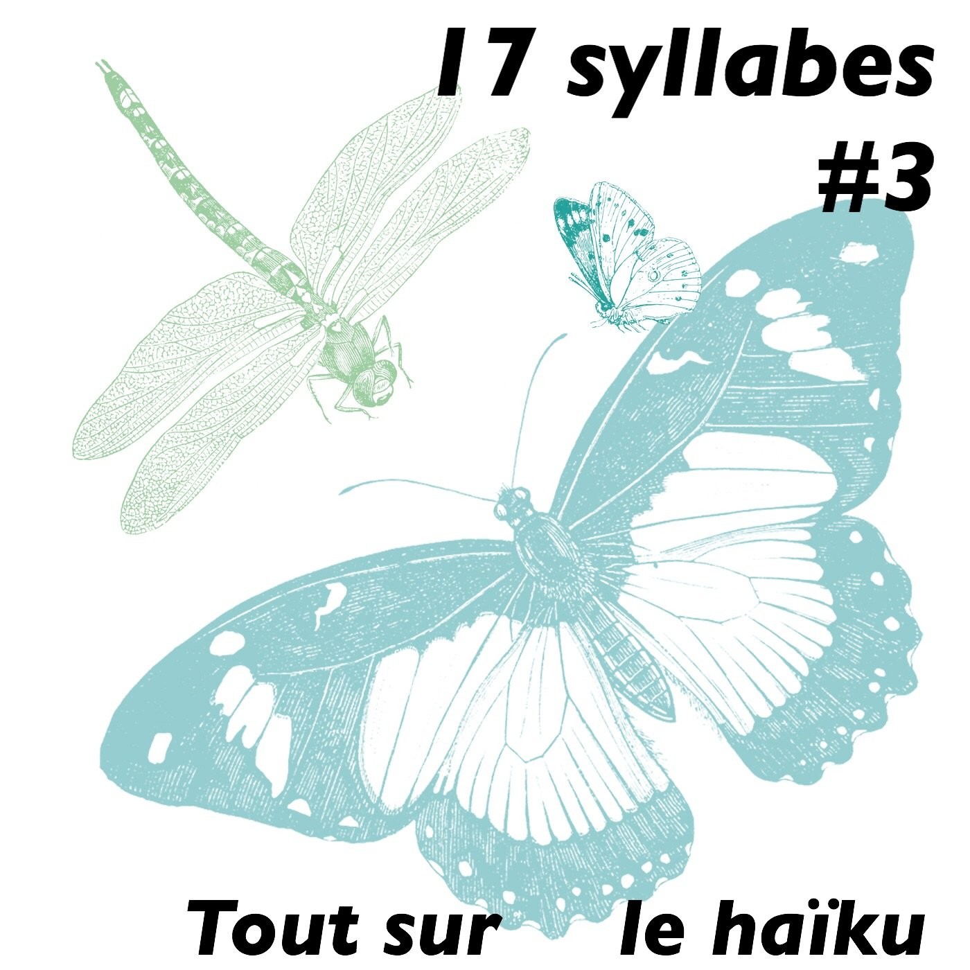 17 syllabes, tout sur le Haïku