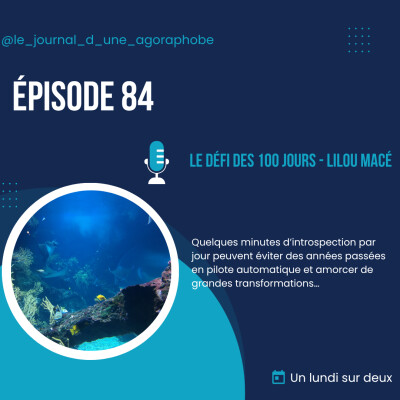 Le défi des 100 jours - Lilou Macé cover