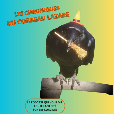Les corbeaux : mauvais augures ou messagers ? cover