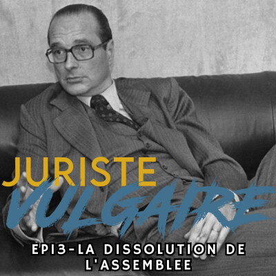 #13 - La dissolution de l'Assemblée nationale cover