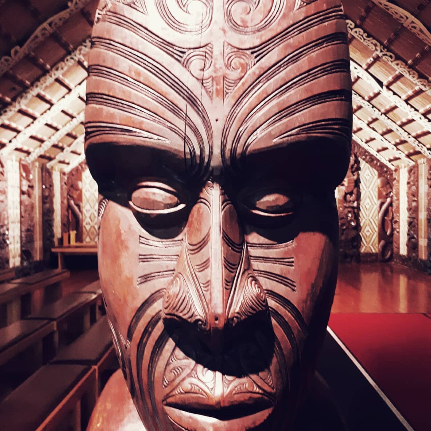 Hors-Série #1 : La Fête Nationale en Nouvelle Zélande 🇦🇺