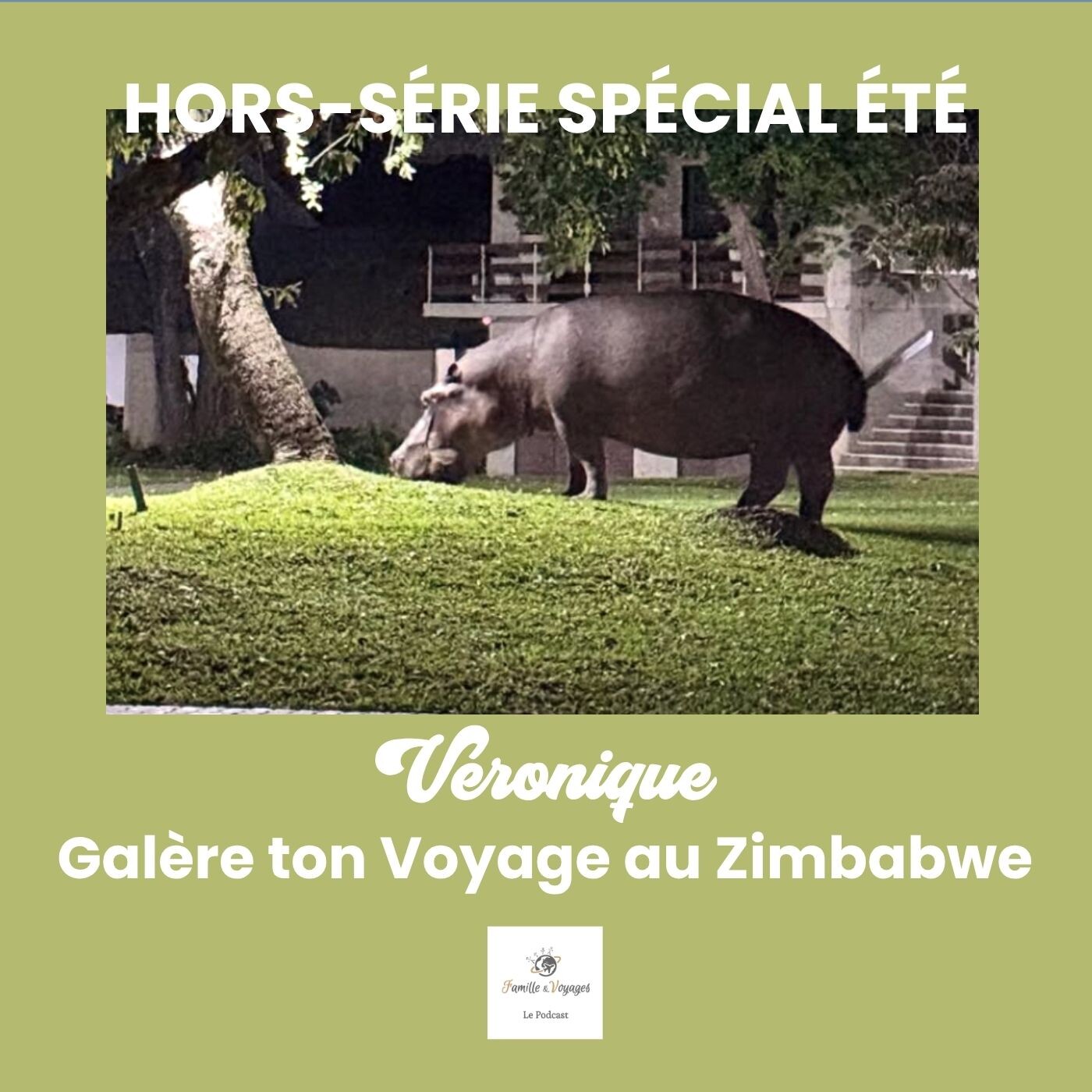 Un hippopotame prénommé Sébastien débarque en pleine nuit, aux chutes Victoria [GTV spécial été 🦦] episode artwork