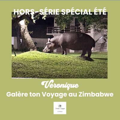 Un hippopotame prénommé Sébastien débarque en pleine nuit, aux chutes Victoria [GTV spécial été 🦦] cover