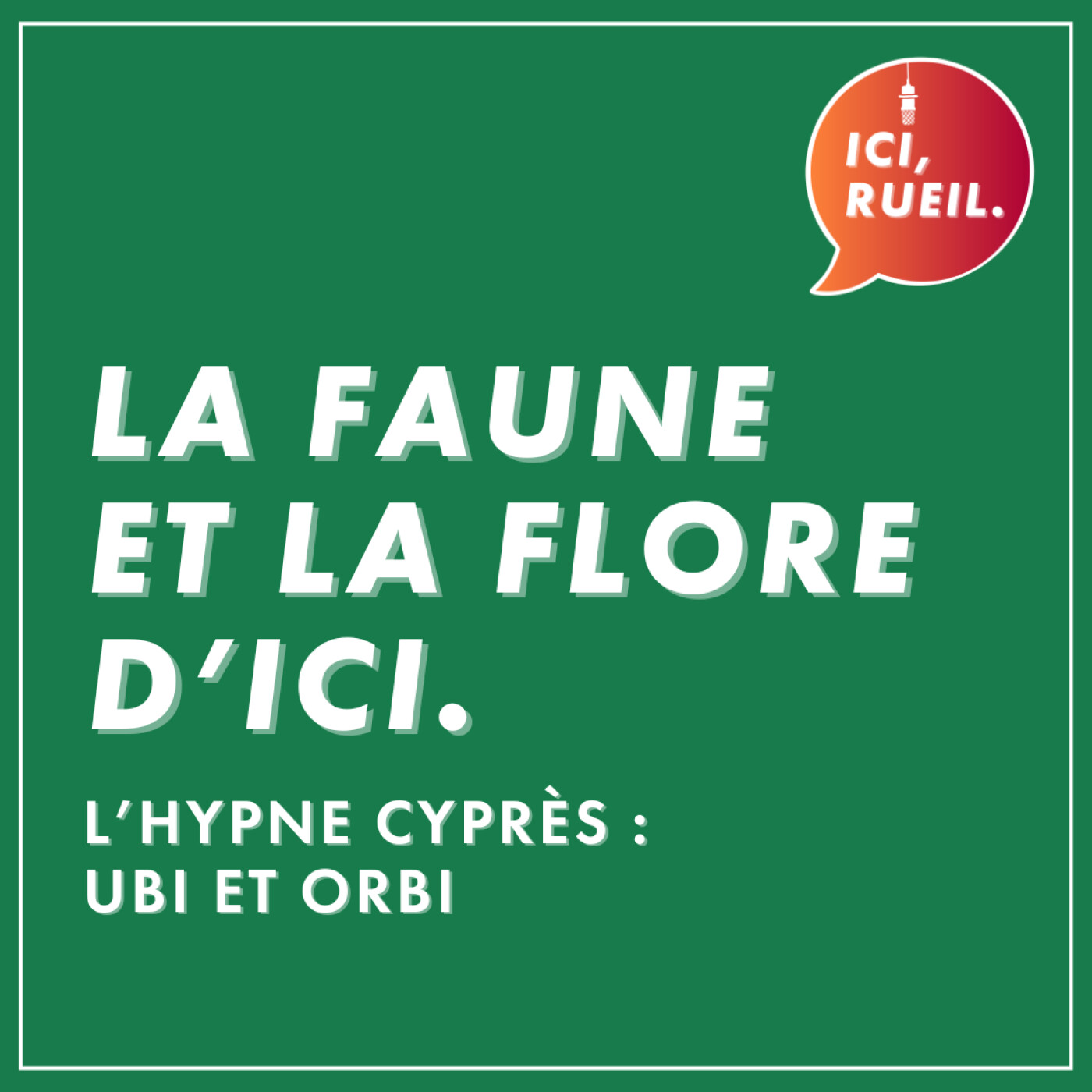 La Faune et la Flore d'Ici : L'hypne cyprès, ubi et orbi episode artwork