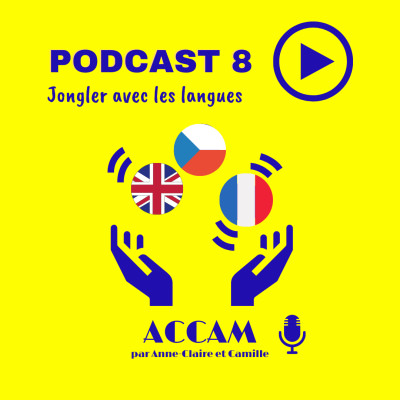 #08 Jiří Toman - Jongler avec les langues cover