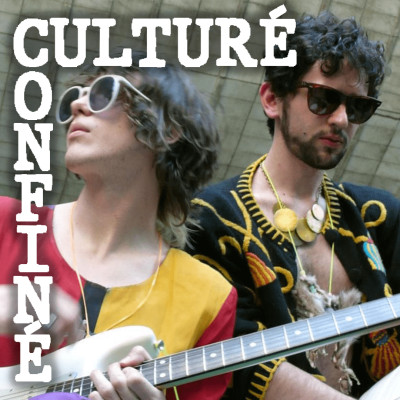 MGMT de retour avec "As you move through the world", un nouveau morceau cover