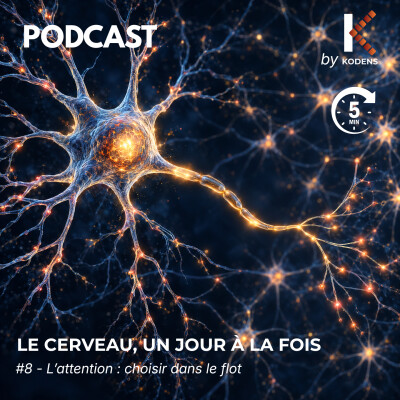 Episode #8 - L'attention : choisir dans le flot cover