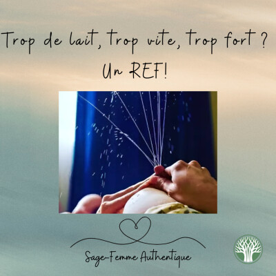 Trop de lait, trop vite, trop fort ? Un REF! QSF55 cover