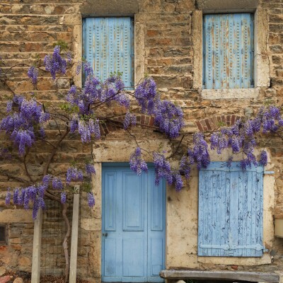 Coco La Violette cover